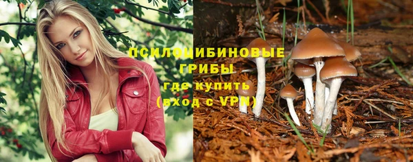 МДПВ Заволжье
