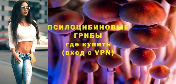 МДПВ Заволжье