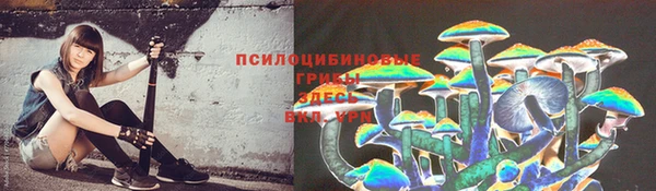 метадон Заводоуковск